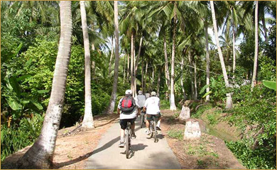 Cycling Southern Vietnam