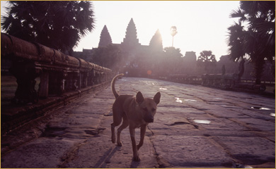 Introducing Cambodia