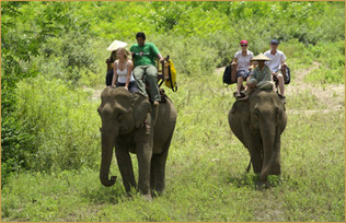 The Elephant Village