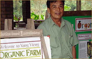 Vang Vieng Organic Farm