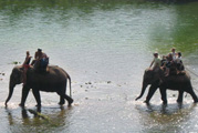 Become a Mahout for the Day
