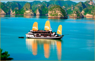 Paradise Cruises