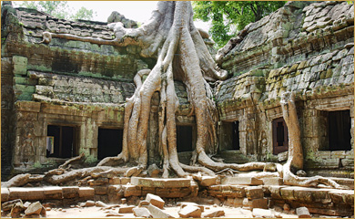 Cambodian Explorer