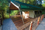 Forest Floor Lodge