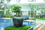 Frangipani Villa Hotel