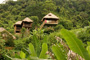 Jasmine Valley