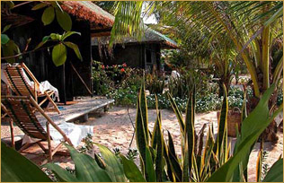Whale Island Resort