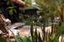 Whale Island Resort